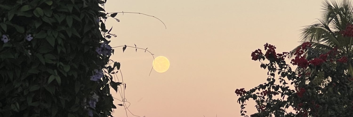 jandrecerqueira's profile banner image