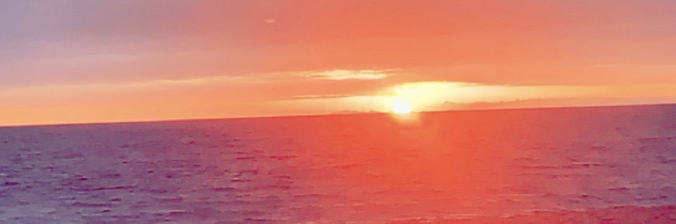 Aaron Linville banner