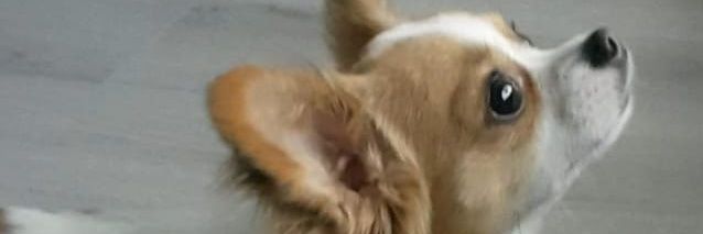 canocan08's profile banner image