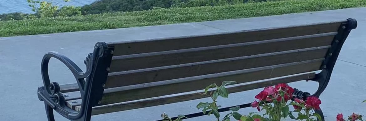S5algory's profile banner image