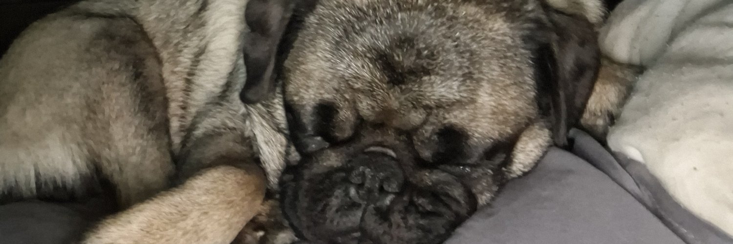 MeFaltaUnCoco's profile banner image