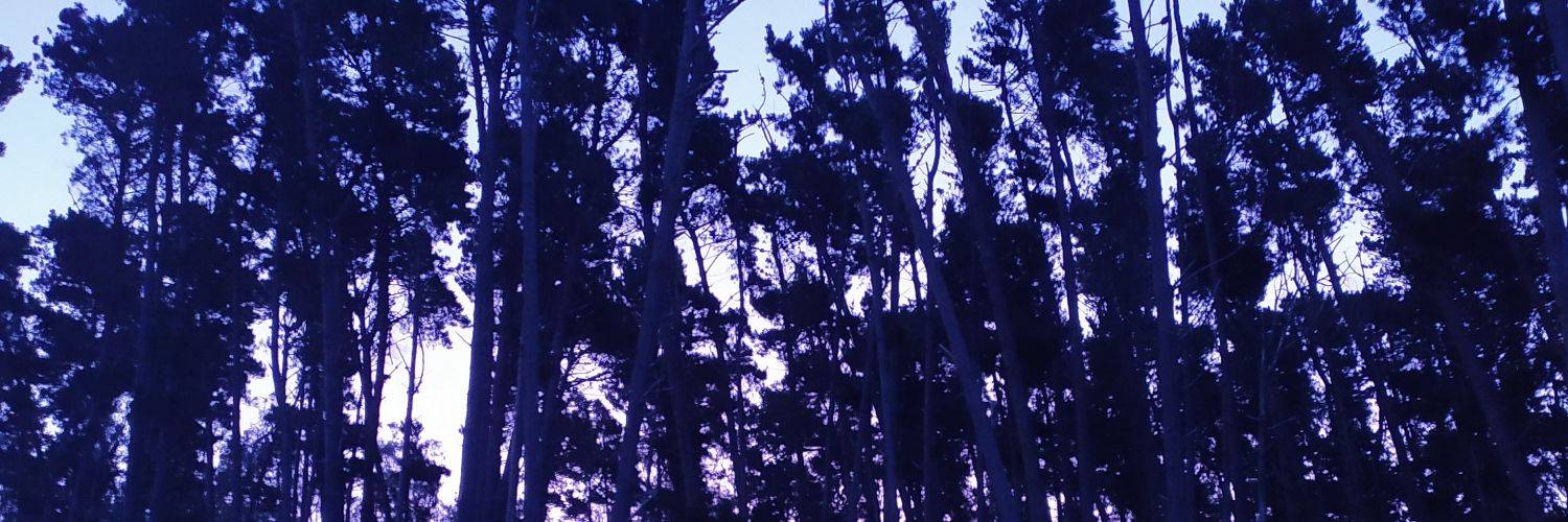 tricks_jsm's profile banner image