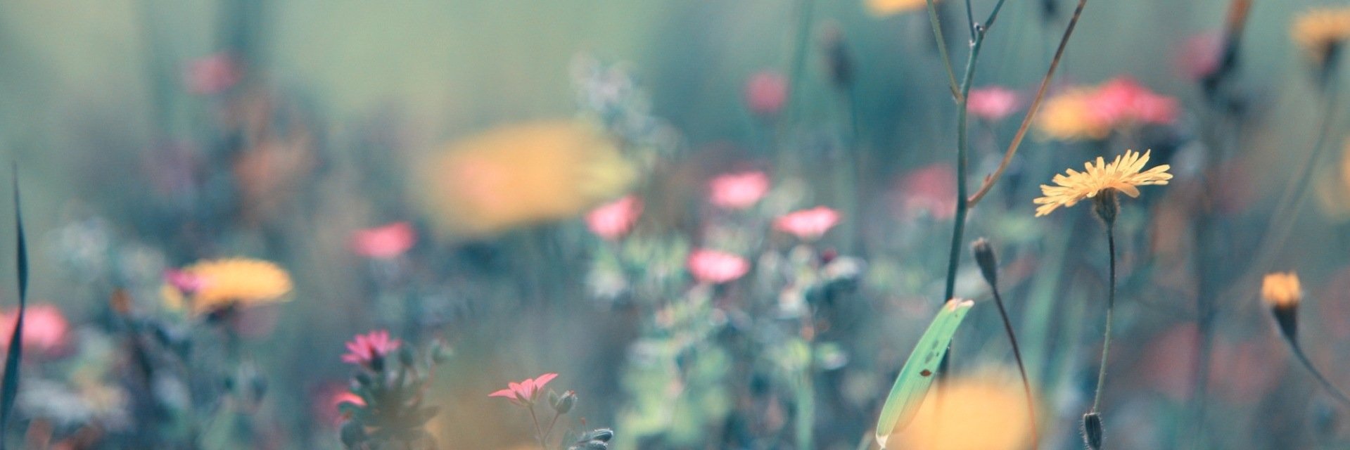 RandelleP's profile banner image