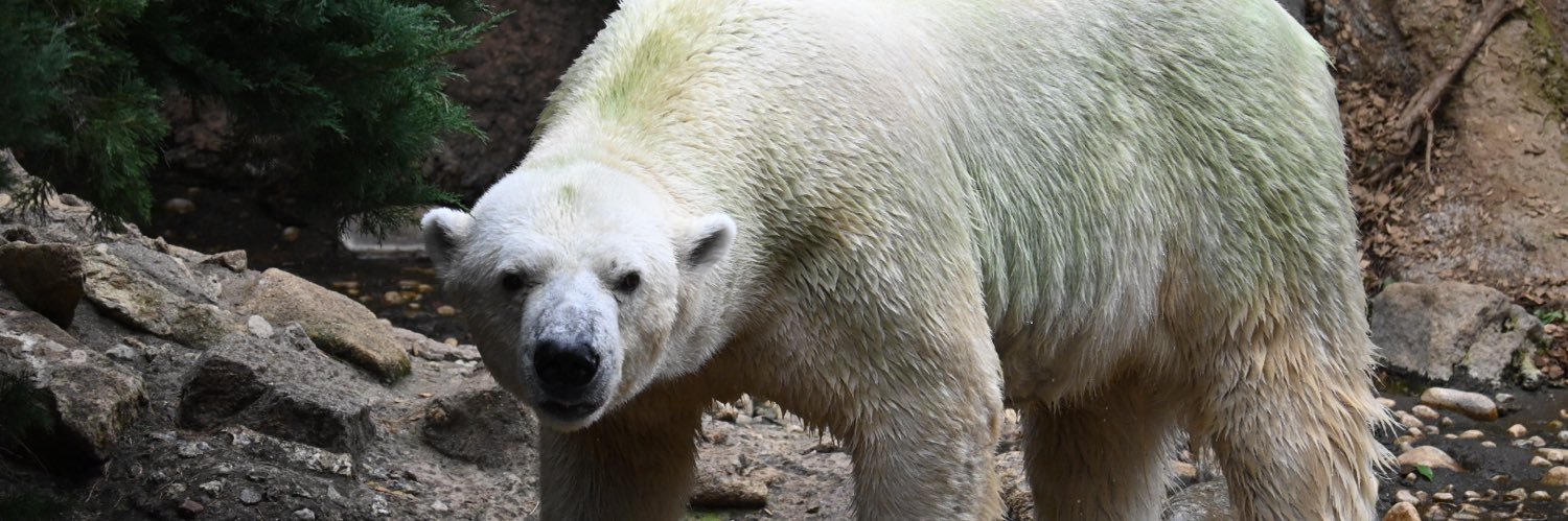 🐼もんちゃん🐼 banner