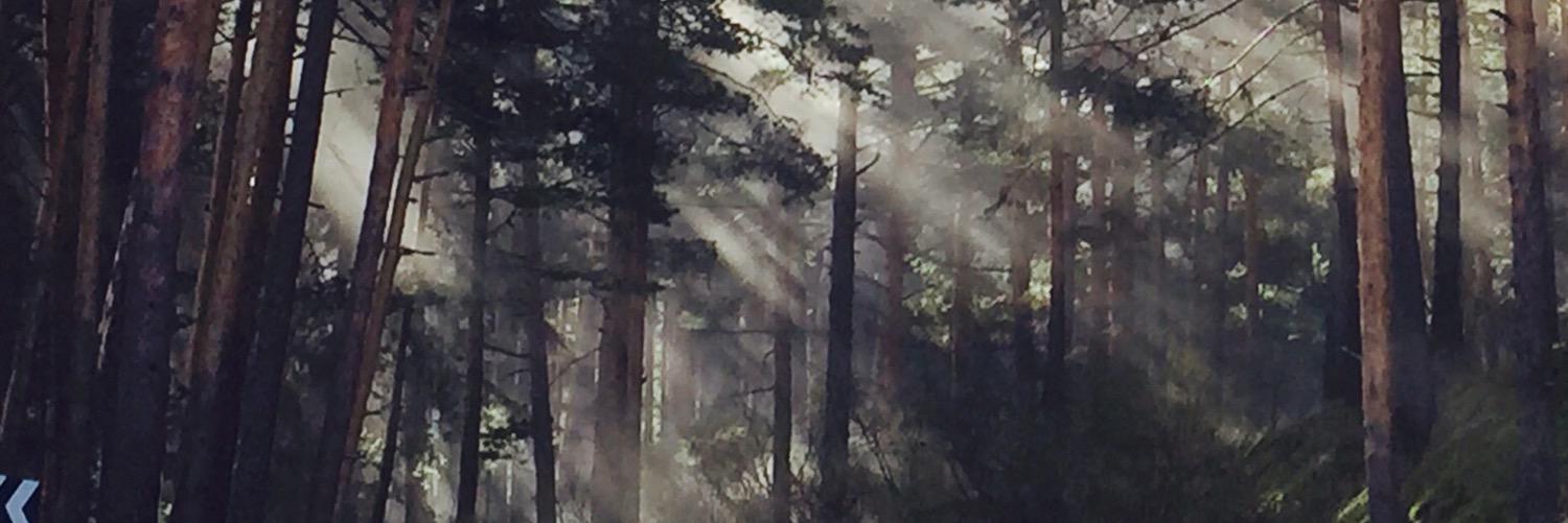 flynimo's profile banner image