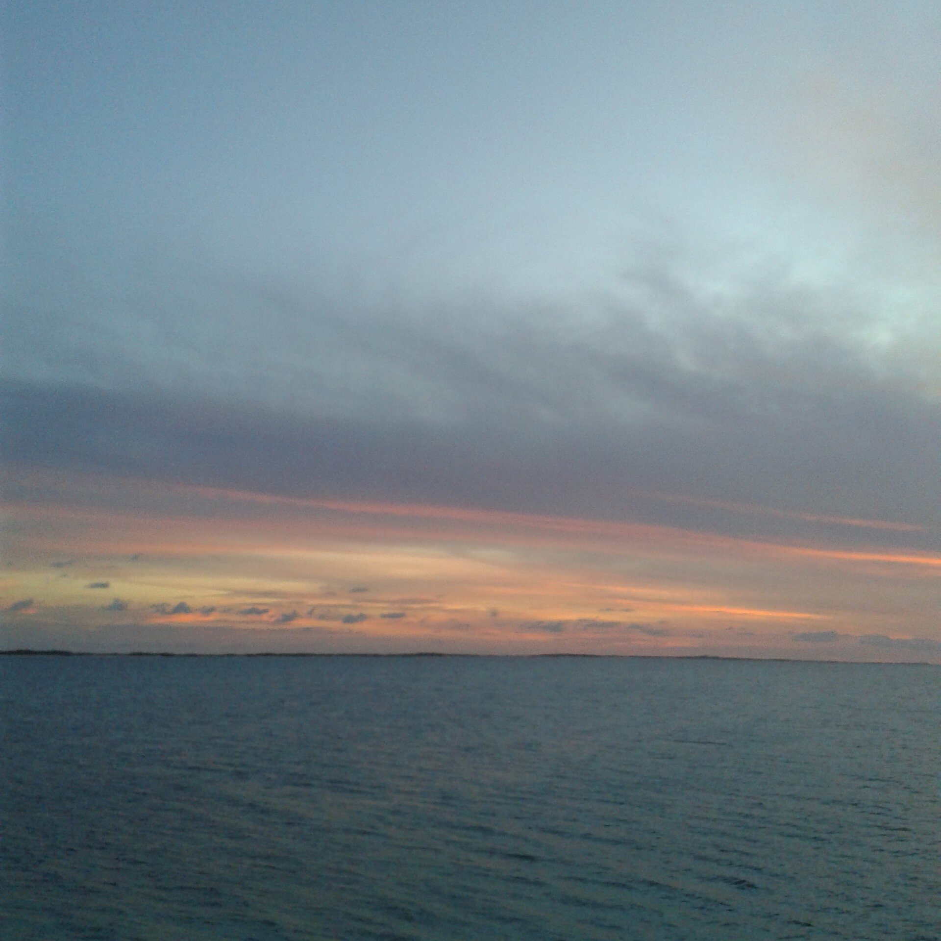 RossanaTermini's profile banner image