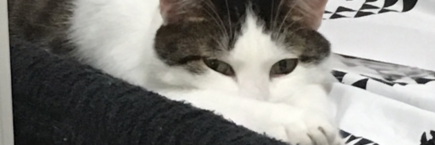CIRAkqna's profile banner image