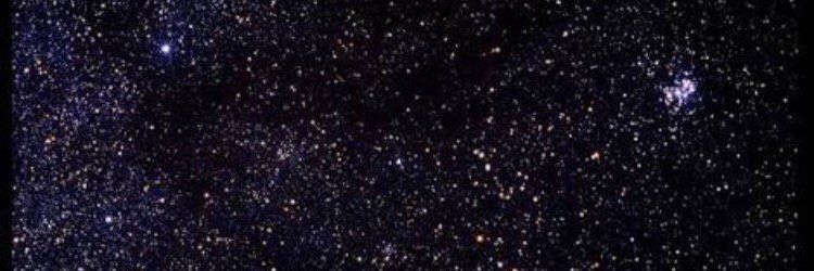 taraharrison__'s profile banner image