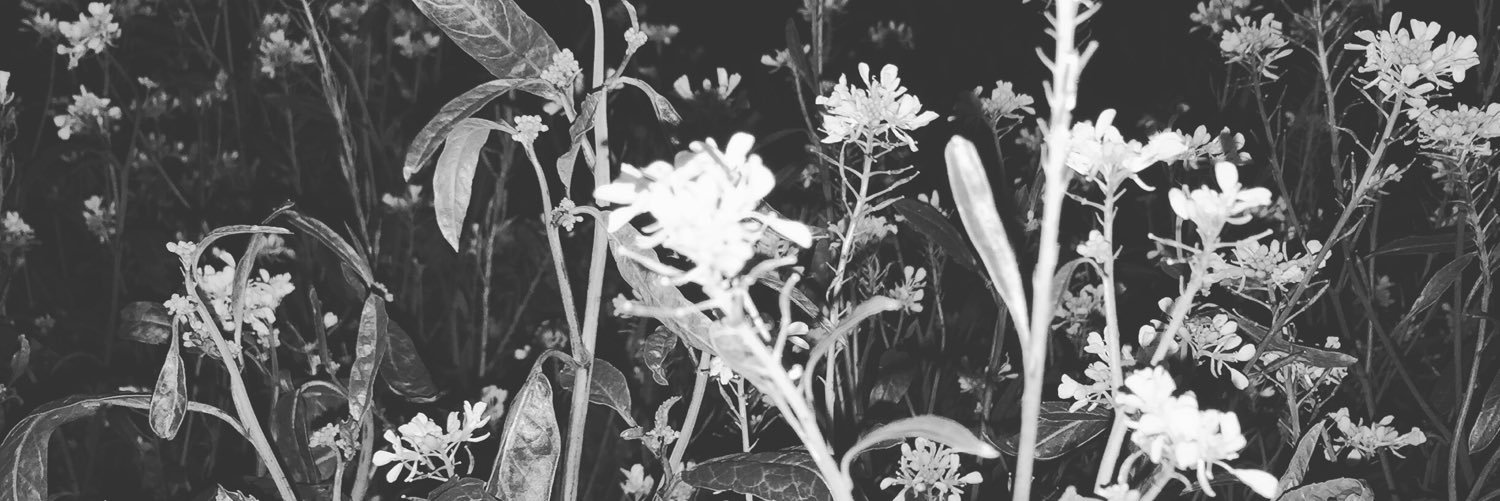 larrylynch01's profile banner image