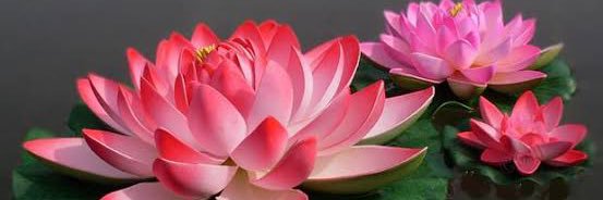 kovai_su_ba's profile banner image