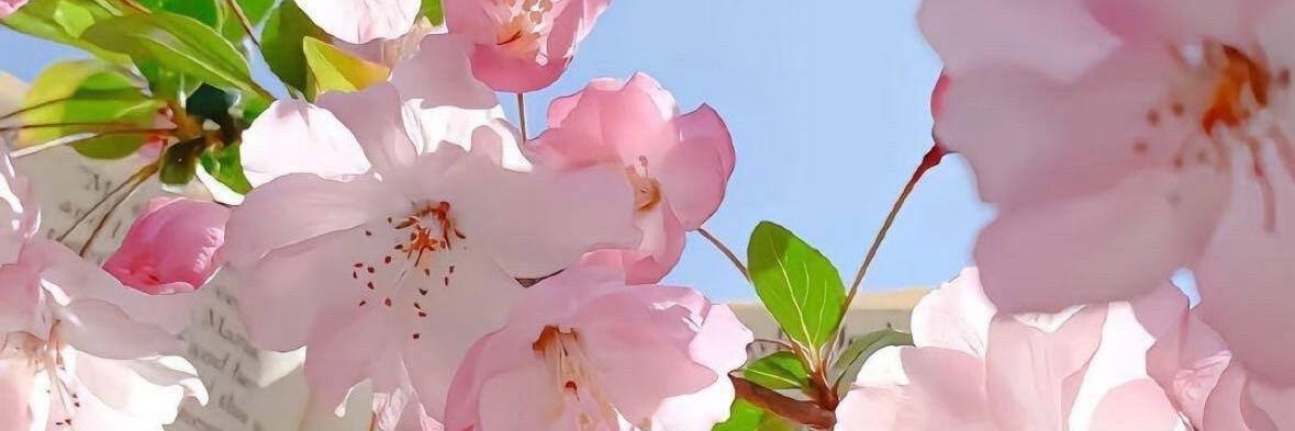 Amitak143's profile banner image