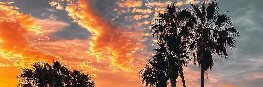marcitisss's profile banner image