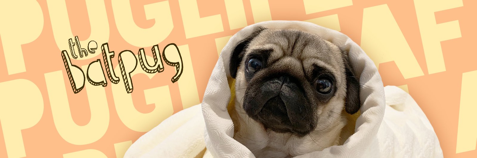 TheBatmanPug's profile banner image
