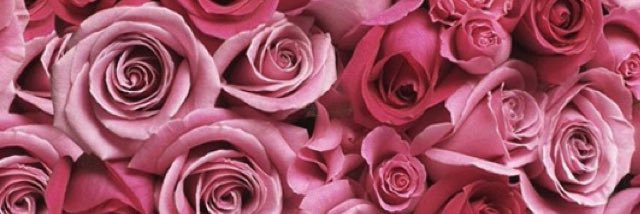 trtn_xx's profile banner image