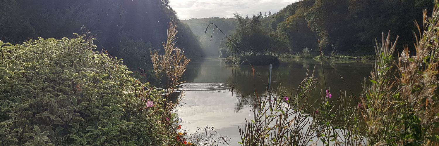 Oaklandsfishing's profile banner image