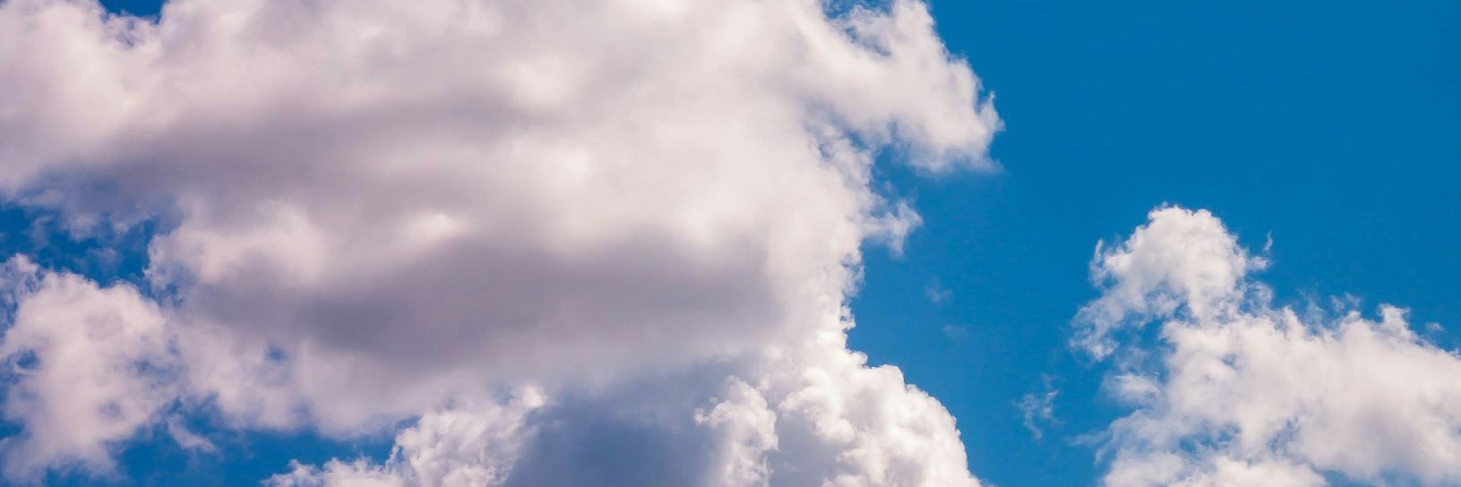 Vitoto Da Vince banner