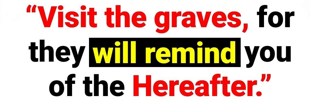 ms_jega's profile banner image