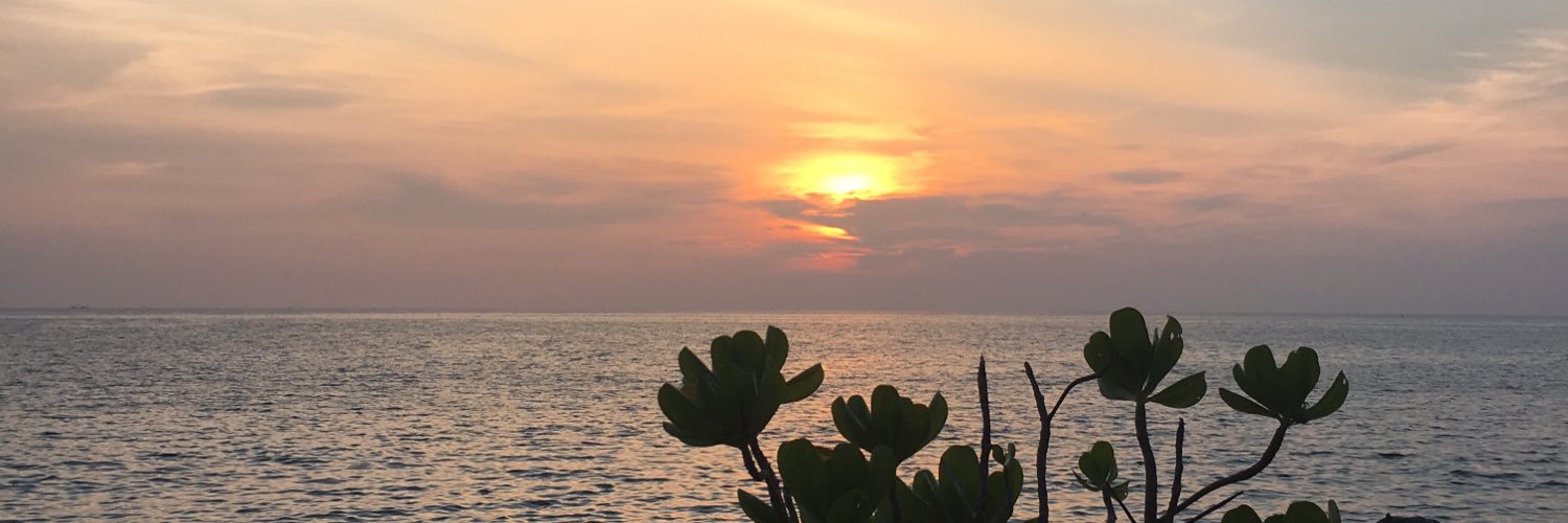 pgreen108's profile banner image