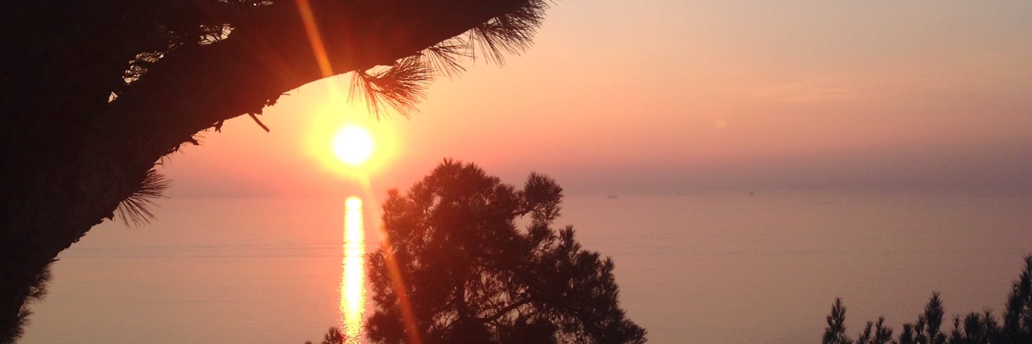 Atilla Güner banner