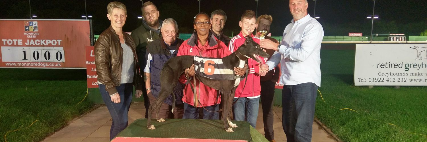 STLGreyhounds's profile banner image