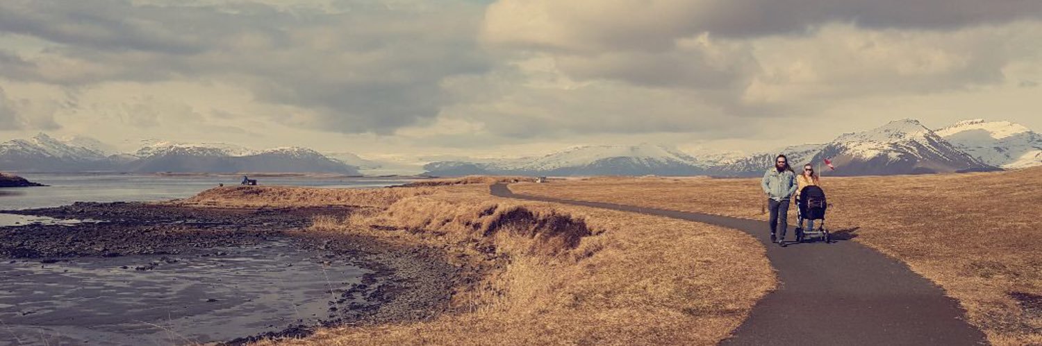 róslín 🍍 banner