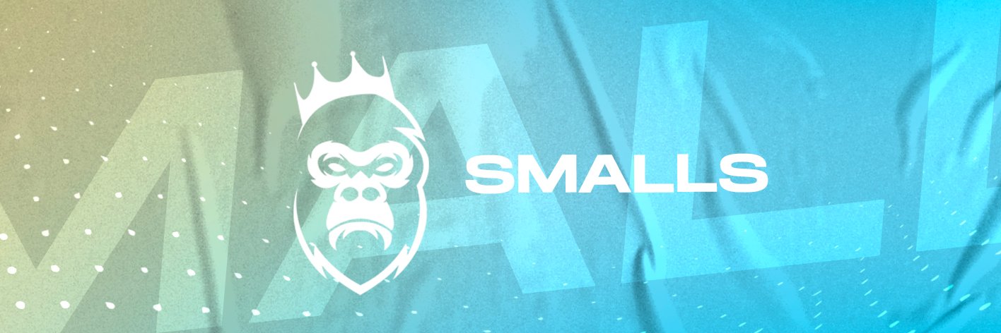 SMVLLSYO's profile banner image