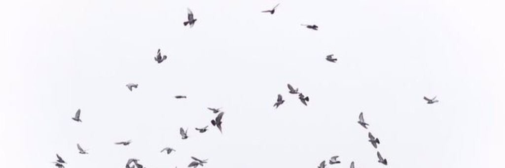 itooly_'s profile banner image