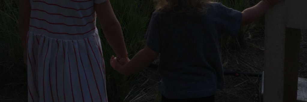 AliFerrario's profile banner image