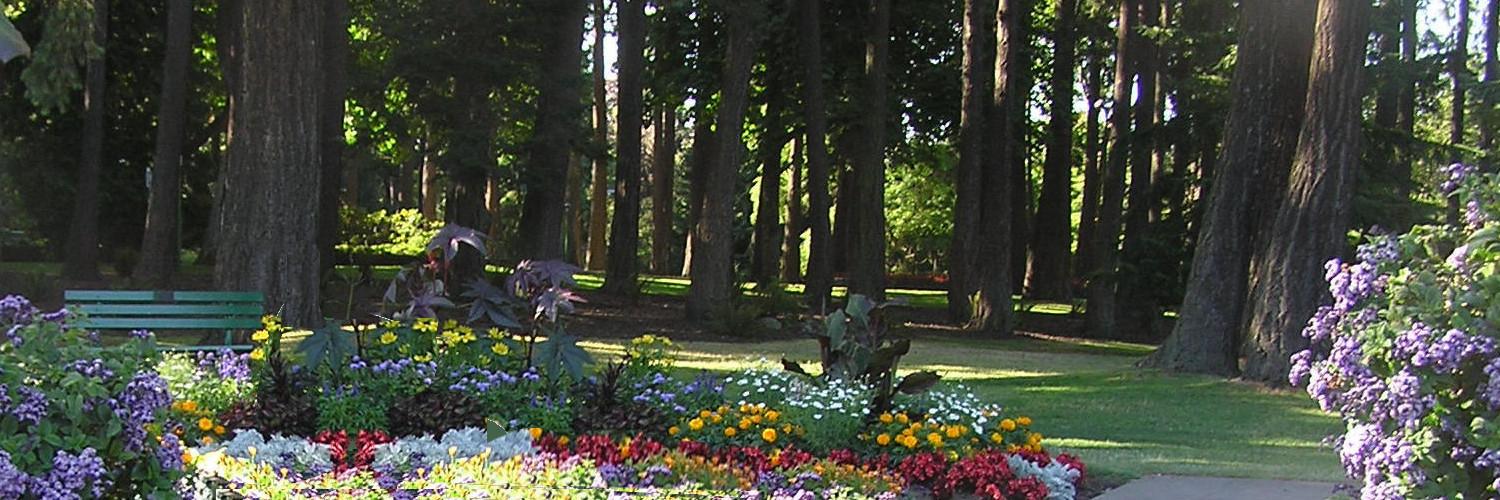 Susan M Scott banner