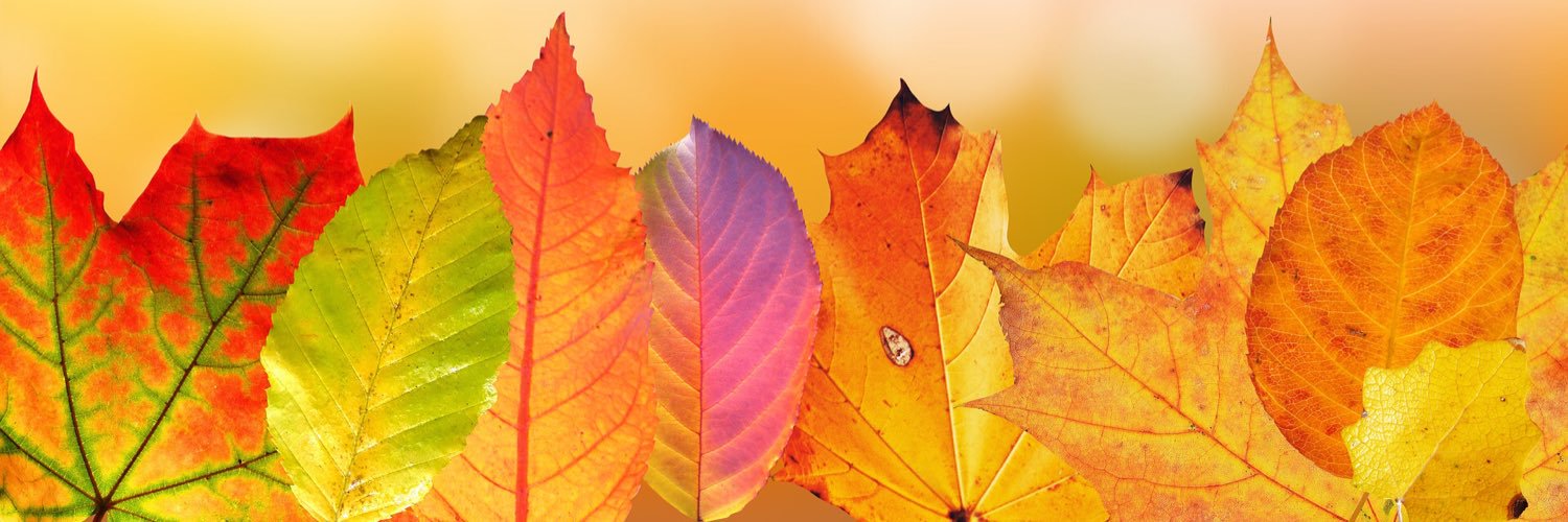 KimDebling's profile banner image