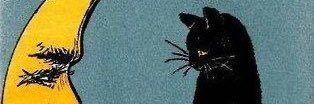 Sprcometa's profile banner image