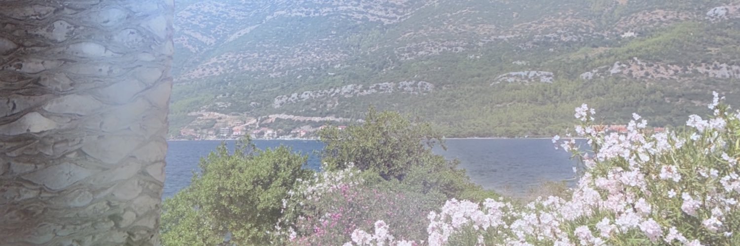 GazzolaFra's profile banner image