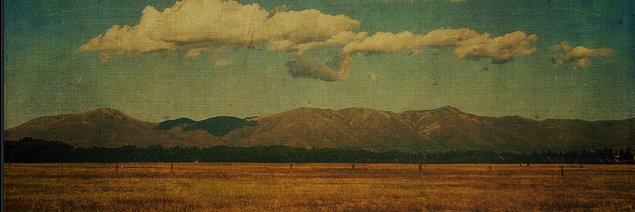 Andrew Shapter banner