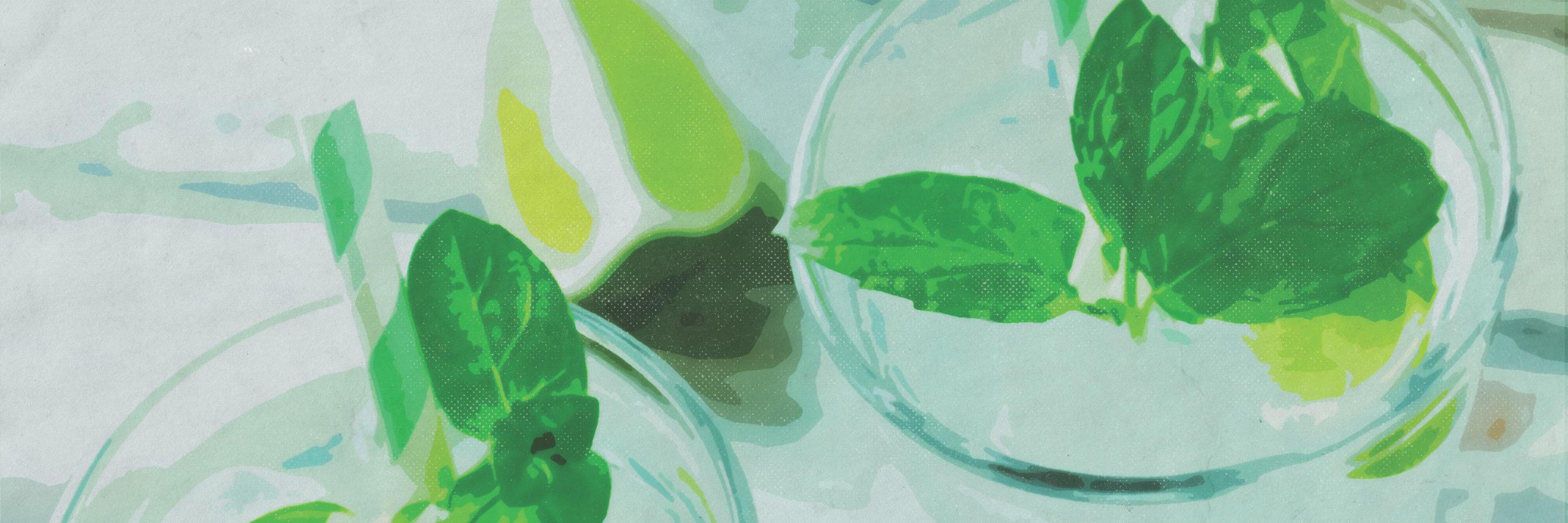 StillandHeart banner