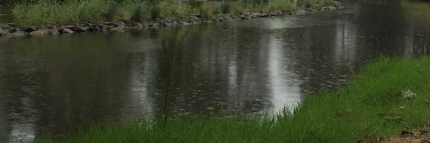 Dr Jeanette Fyffe banner