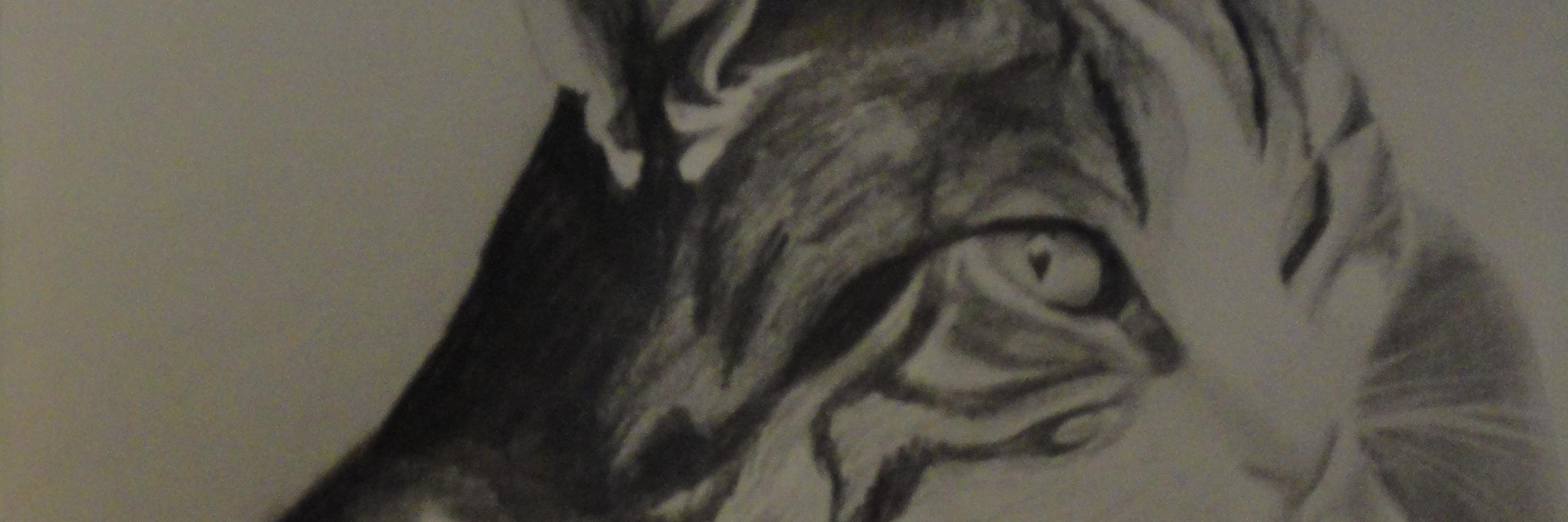 Liquidity2's profile banner image