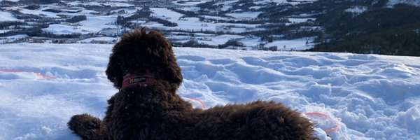 MHaalandOverby Profile Banner