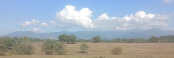 emeraldjham Profile Banner