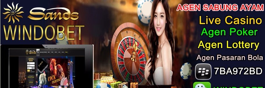 windobet's profile banner image