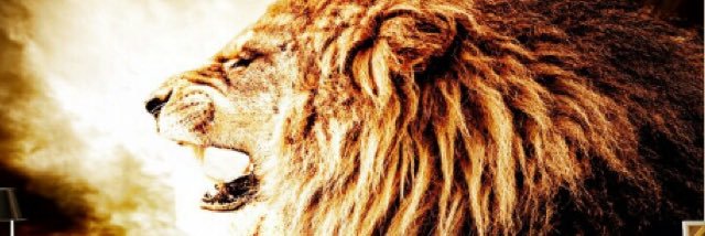 TayyarGul's profile banner image