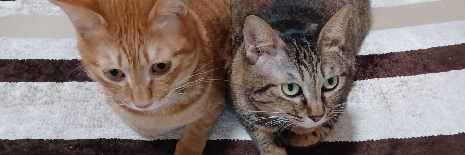 gataping5's profile banner image