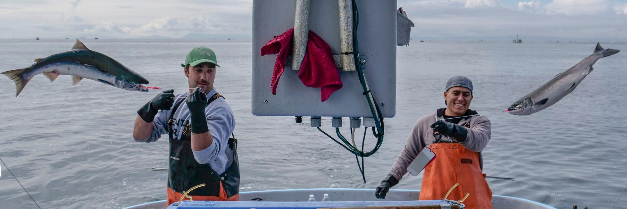 Organic Ocean Seafood banner