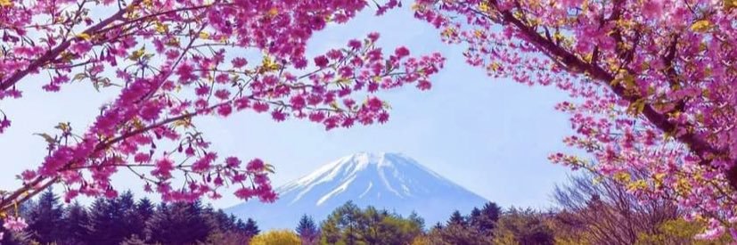 Yasmin Hansen banner