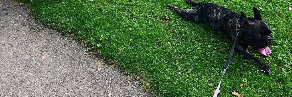 emilyhamiilton's profile banner image