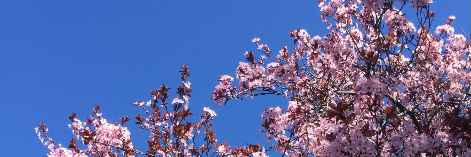 Brett Penny banner
