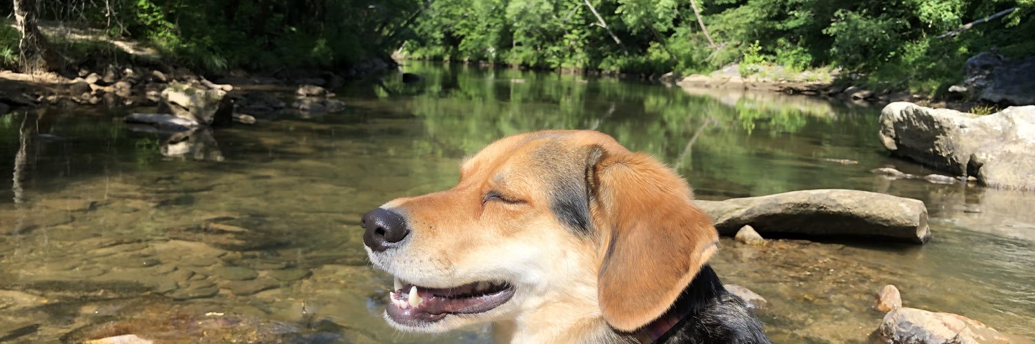 MorganEric Riffe banner