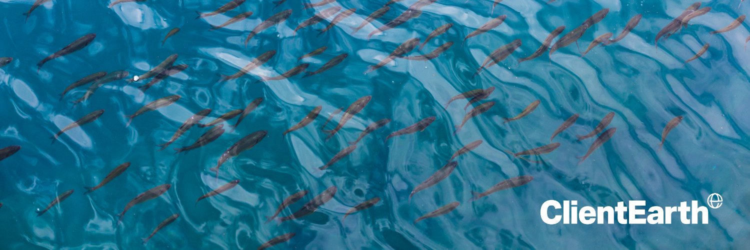 James Thornton banner