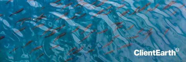 JamesThorntonCE Profile Banner