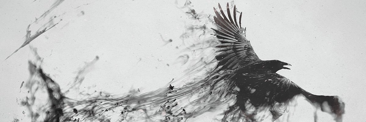 Northernminxx's profile banner image