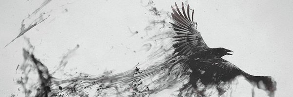 Northernminxx Profile Banner